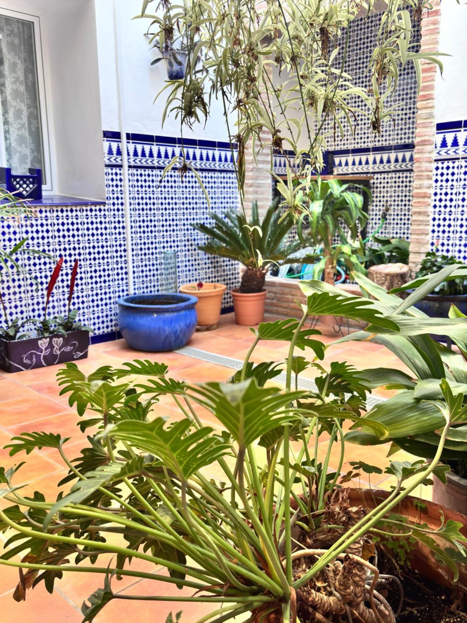 Shanti'S Andalusian Rooms Málaga Kültér fotó